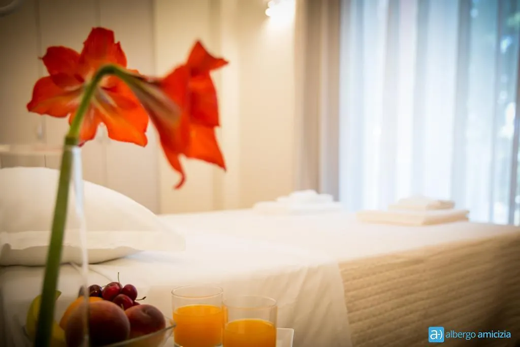 Hotel Amicizia Ρίμινι 3*,