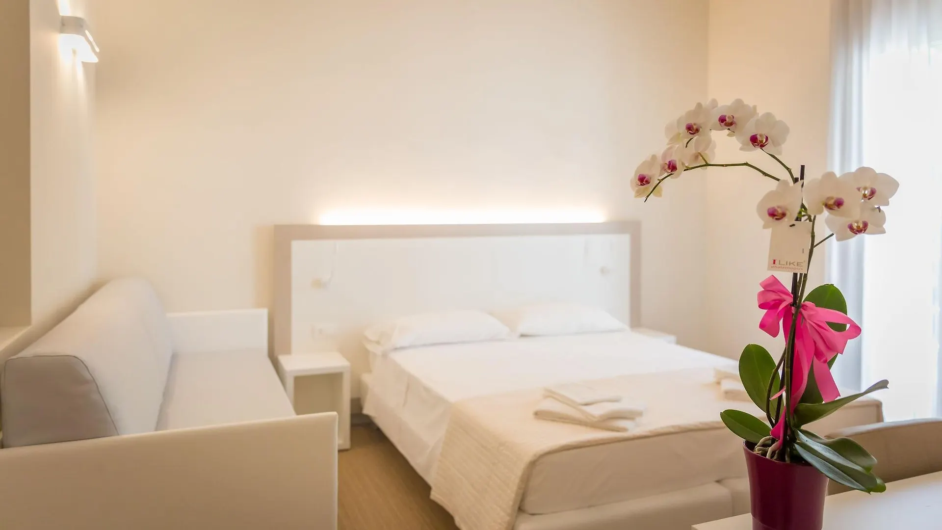 Hotel Amicizia Rimini